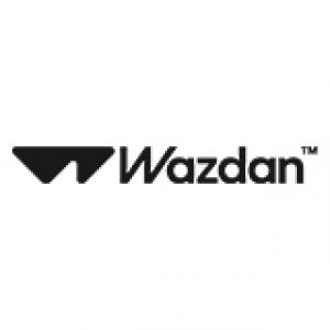 Wazdan Services Limited