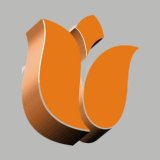 Holandia Jobs